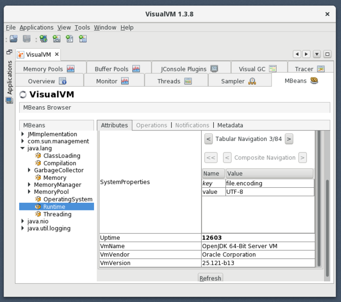 File:Visualvm-file.encoding.png
