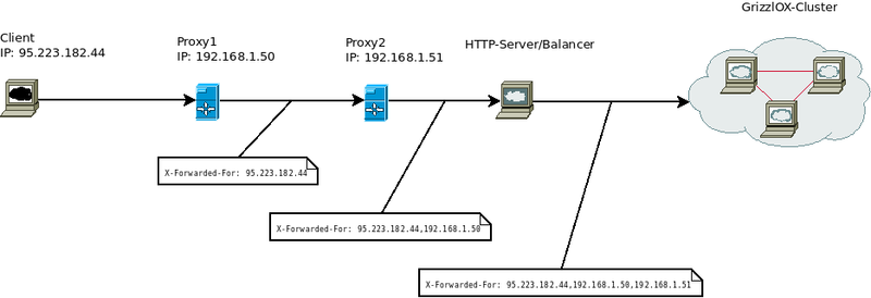 File:GrizzlOXClusterMultipleProxySetup.png